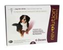 Revolution for Dogs 85-130 Pounds