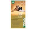 Advantage Multi for Dogs 1-10 Pounds