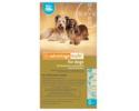 Advantage Multi for Dogs 11-20 Pounds