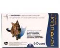 Revolution for Cats 5-15 Pounds
