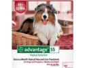 Advantage for Dogs 21-55 Pounds