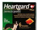 HEARTGARD Plus for Dogs 26-50 Pounds