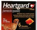 HEARTGARD Plus for Dogs 51-100 Pounds