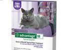 Advantage for Cats 10-18 Pounds