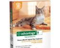 Advantage for Cats 1-9 Pounds
