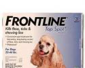 Frontline Top Spot for Dogs 23-44 Pounds
