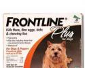 Frontline PLUS for Dogs up to 22 Pounds
