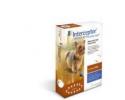 Interceptor for Dogs 1-10 Pounds