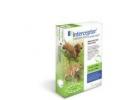 Interceptor for Dogs 11-25 Pounds