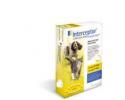 Interceptor for Dogs 26-50 Pounds