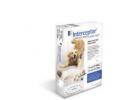 Interceptor for Cats 12-25 Pounds