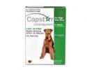 Capstar Green Dogs Over 25 Pounds