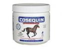 Cosequin Equine Powder