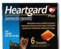HEARTGARD Plus for Dogs 1-25 Pounds