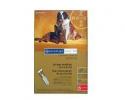 Advantage Multi for Dogs 88-110 Pounds
