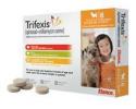 Trifexis for Dogs 10-20 Pounds