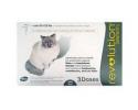Revolution for Cats 15-22 Pounds