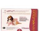 Revolution for Puppies or Kittens