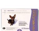 Revolution for Dogs 5-10 Pounds