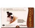 Revolution for Dogs 10-20 Pounds