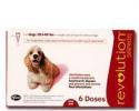 Revolution for Dogs 20-40 Pounds