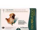 Revolution for Dogs 40-85 Pounds