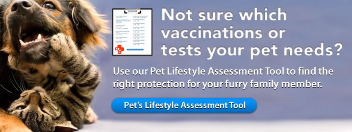 Low Cost Mobile Pet Vaccination Clinics, Animal Hospitals and Pet Meds